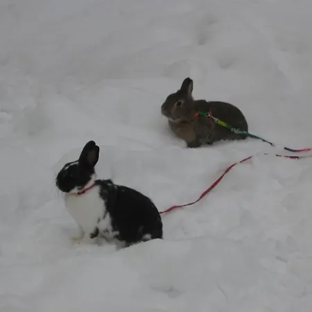 Doerflinger Apartman Ottenhofen im Schwarzwald