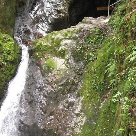 Doerflinger Ottenhofen im Schwarzwald
