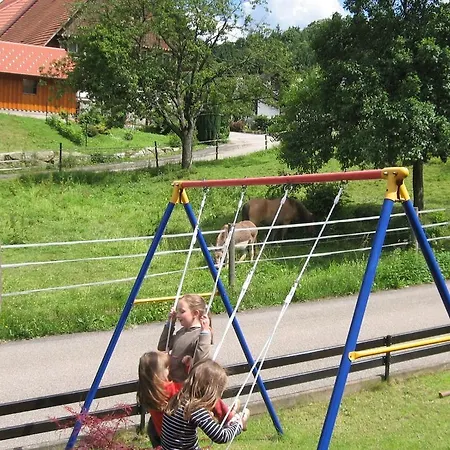 Doerflinger Appartement Ottenhofen im Schwarzwald